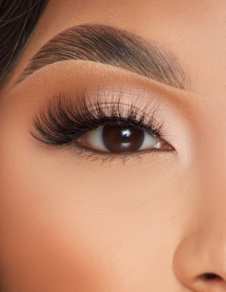 P.Louise Lashes - Προσέγγιση της υπόθεσης