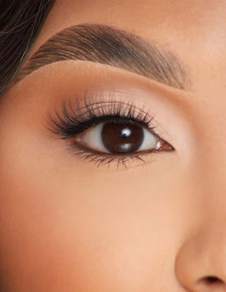 P.Louise Lashes - Μια τελευταία αγάπη