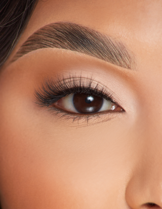 P.Louise Lashes - Pure Office