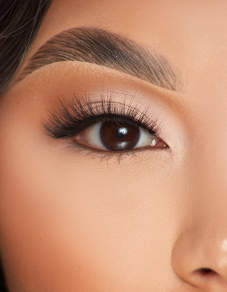 P.Louise Lashes - Taste of Tease